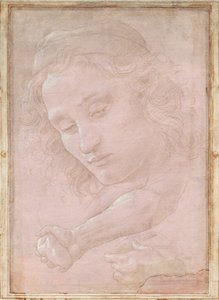 Hoofd van een Jongeling met een Pet; een Rechter Onderarm met de Hand die een Steen Vasthoudt; en een Linkerhand die een Draperie Vasthoudt door Sandro Botticelli