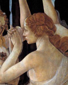 La Primavera door Sandro Botticelli