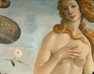 De geboorte van Venus (Venus Anadyomene) door Sandro Botticelli