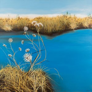  door Sandy Iseli