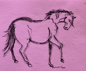 Dynamische paardencontour door Santhosh ch