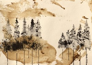 Sereniteit van het bos door Santhosh ch