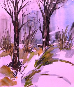 Roze winterbos door Santhosh ch