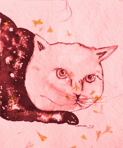 Rustige roze kat door Santhosh ch