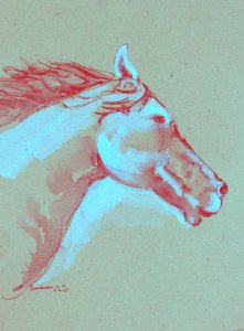 Levendige paardenkop