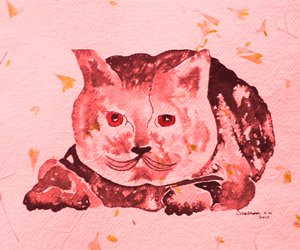 Grappige roze kat door Santhosh ch