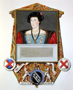 Portret van Sir Anthony Browne (1500-48) uit 