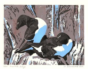 Razorbill richel, 2014 (Linosnede)