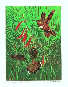 Rufus Pas de Deux, 2016 (Linosnede )