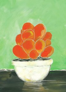 Kleurrijke vetplant in pot