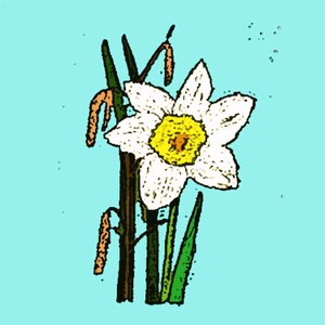 Narcissen, 2015 door Sarah Thompson Engels