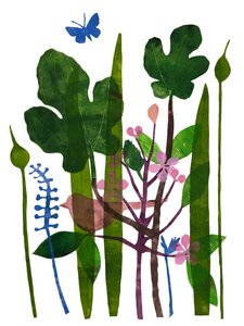 Vijgenbladeren door Sarah Thompson Engels