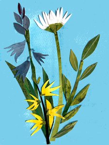 Lentebloemen, 2018