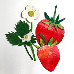 Aardbeien