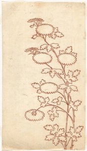 Chrysanten door Sasaya (workshop of)