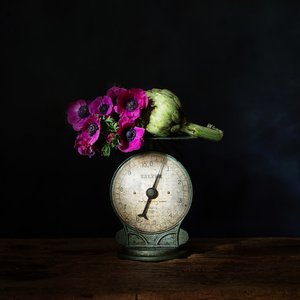  door Saskia Dingemans