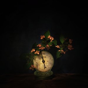  door Saskia Dingemans