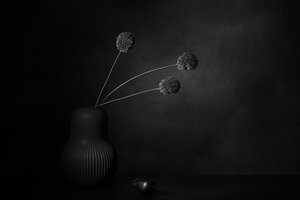  door Saskia Dingemans