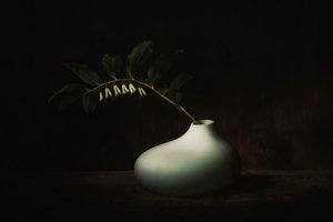  door Saskia Dingemans