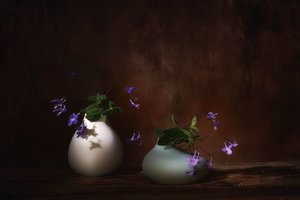  door Saskia Dingemans