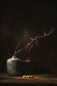 door Saskia Dingemans