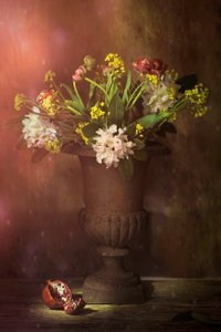  door Saskia Dingemans