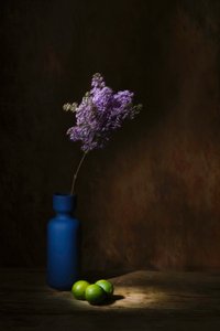  door Saskia Dingemans