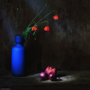  door Saskia Dingemans