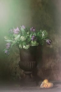  door Saskia Dingemans