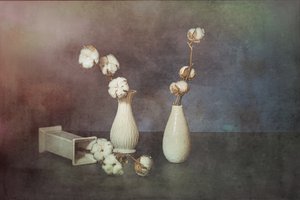  door Saskia Dingemans