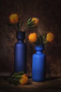  door Saskia Dingemans