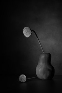  door Saskia Dingemans