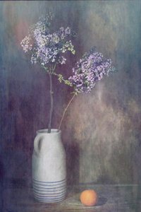  door Saskia Dingemans