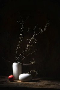  door Saskia Dingemans