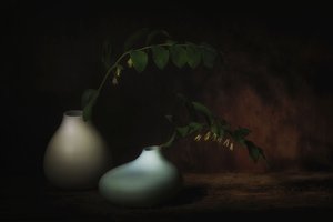  door Saskia Dingemans