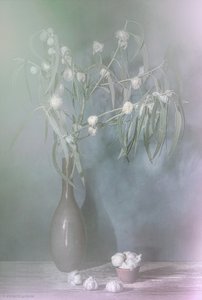  door Saskia Dingemans
