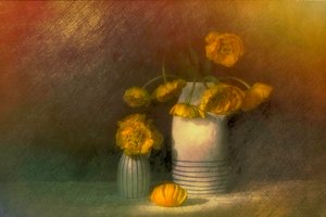  door Saskia Dingemans