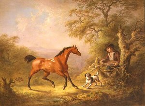 Een stalknecht die een paard voert