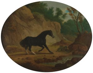 Een paard geschrokken door een slang