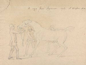 Een Paard en Drie Verzorgers