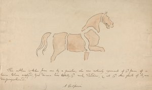 Disproportioneel Paardentekening