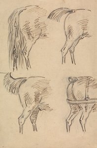 Vier Schetsen van Achterkwartieren van een Paard