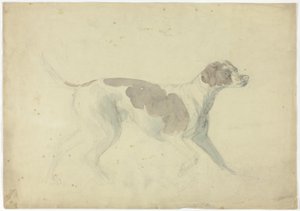 Vossenhond (recto); Schetsen van paard en ruiter (verso)