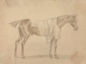 Paard gekleed in deken door Sawrey Gilpin
