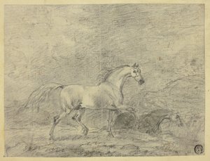 Paarden