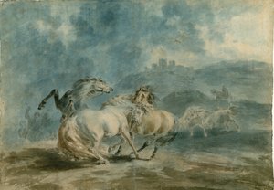 Vechtende paarden