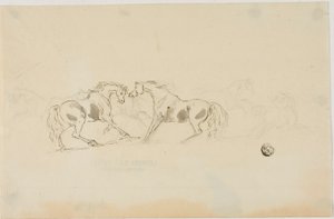 Vechtende paarden