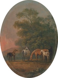 Merries en Veulens [1795, Royal Academy of Arts, Londen, tentoonstellingscatalogus]