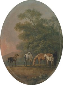 Merries en veulens, c.1770-80
