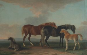 Merries en Veulens, naar rechts gericht